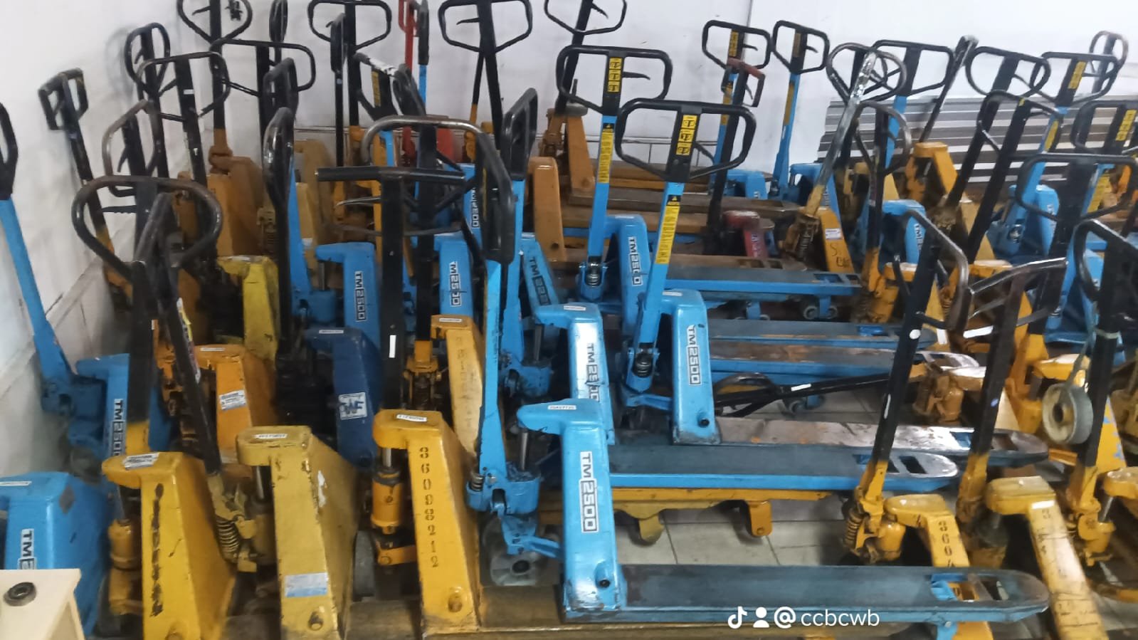 Paleteira Manual - 40 Paleteiras - Diversas